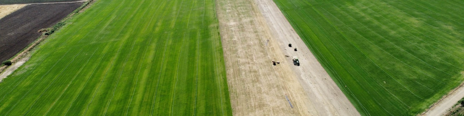 SAYGIN BOTANİK Banner